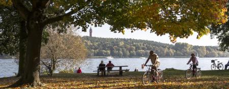 Riding the bike in Grunewald forest, Berlin