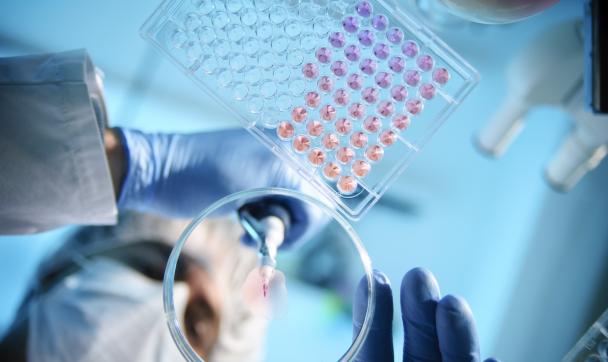 Pipette and Petri dish in the laboratory