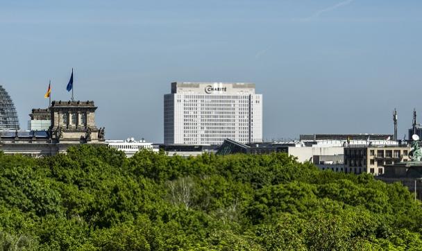 Panorama Berlin with Reichstag and Charite