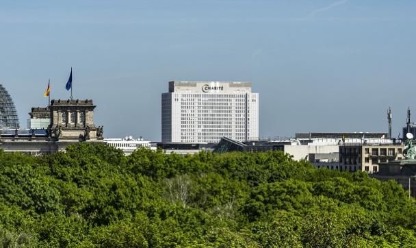 Panorama Berlina z Reichstagiem i Charité
