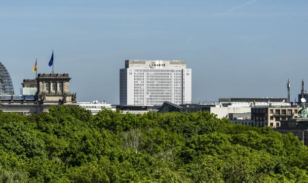 柏林全景与德国国会大厦和夏里特