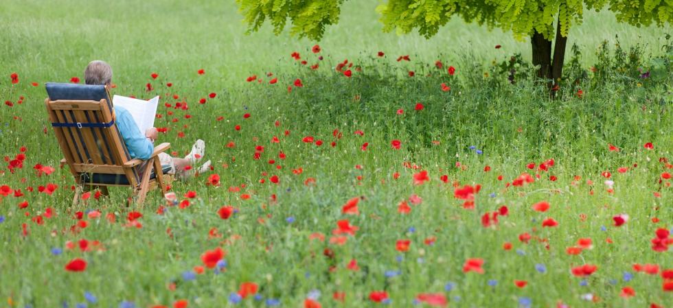 reading newspaper in a poppy field