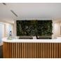Entrance area OVID Clinic Berlin